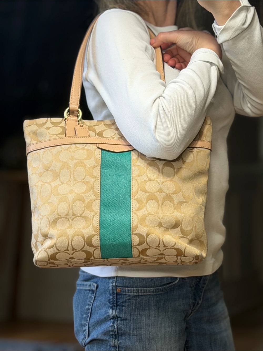 Coach 2013 Classic Jewel Tone Jacquard Monogram Signature Stripe Bag (GUC) - Picture 4 of 17